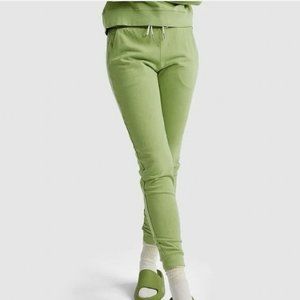NWOT Organic Terry Classic Jogger in Pistachio